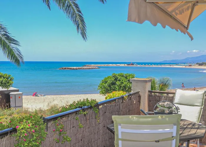 Litoral Costa Dorada - Gladiols Only Families